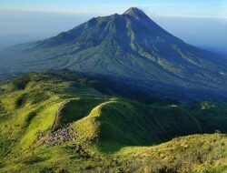 Gunung Merapi Ungup-Ungup Terbakar, Petugas Sedang Berusaha Memadamkan Api