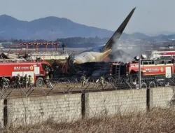 Tragedi Jeju Air: Mimpi Buruk di Langit Korea Selatan