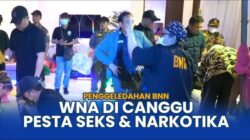 Canggu Terjaga: Puluhan WNA Tertangkap dalam Pesta Seks dan Narkoba