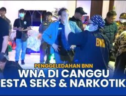 Canggu Terjaga: Puluhan WNA Tertangkap dalam Pesta Seks dan Narkoba