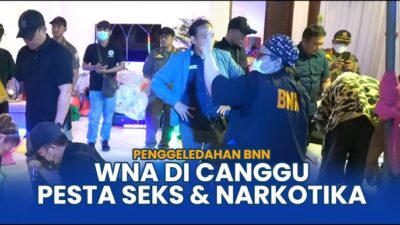 Canggu Terjaga: Puluhan WNA Tertangkap dalam Pesta Seks dan Narkoba