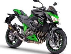 Kawasaki Z800: Sensasi Berkendara dengan Gaya yang Berbeda