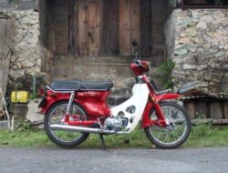 Mengenal Lebih Dekat Honda Super Cub C800: Motor Antik yang Menawan
