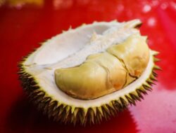 Penyelundupan Durian Ilegal: Ancaman bagi Petani Lokal di Batam