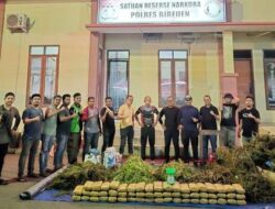 Mobil Bawa 255 Kg Ganja ke Medan, Dua Kurir Ditangkap di Karo