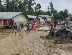 Ancaman Lingkungan di Sumatera Utara: Kerusakan Hutan Batang Toru dan Dampaknya