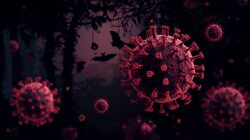 Virus Nipah Kembali Jadi Perhatian, Ini Penjelasan Lengkap dan Mudah Dipahami untuk Masyarakat Indonesia