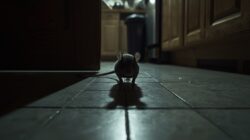 Tikus Datang Tanpa Diundang, Ini Formula Lengkap Mengusirnya hingga Tidak Kembali Lagi