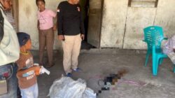 Pelaku Kekerasan Seksual terhadap Perempuan Penyandang Disabilitas di Batuplat Ditangkap, Korban Dirawat Intensif