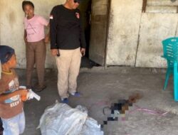 Pelaku Kekerasan Seksual terhadap Perempuan Penyandang Disabilitas di Batuplat Ditangkap, Korban Dirawat Intensif