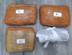 Penangkapan Besar Pengedar Ganja di Jakarta Barat