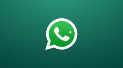 WhatsApp Berbayar Resmi Diuji, WhatsApp Plus Bawa Fitur Premium untuk Pengguna Aktif