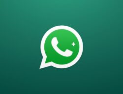 WhatsApp Berbayar Resmi Diuji, WhatsApp Plus Bawa Fitur Premium untuk Pengguna Aktif