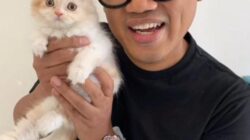 Uya Kuya: Rumah Masih Renovasi 6 Bulan, Saya Pastikan Tidak Dijual Usai Perbaikan